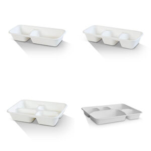 sugarcane food tray