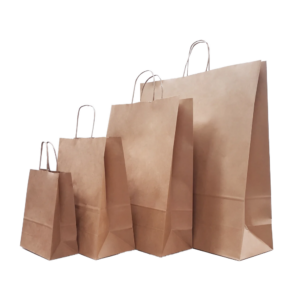 Multipurpose Paper Carry Bag