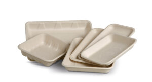 Produce trays sugarcane